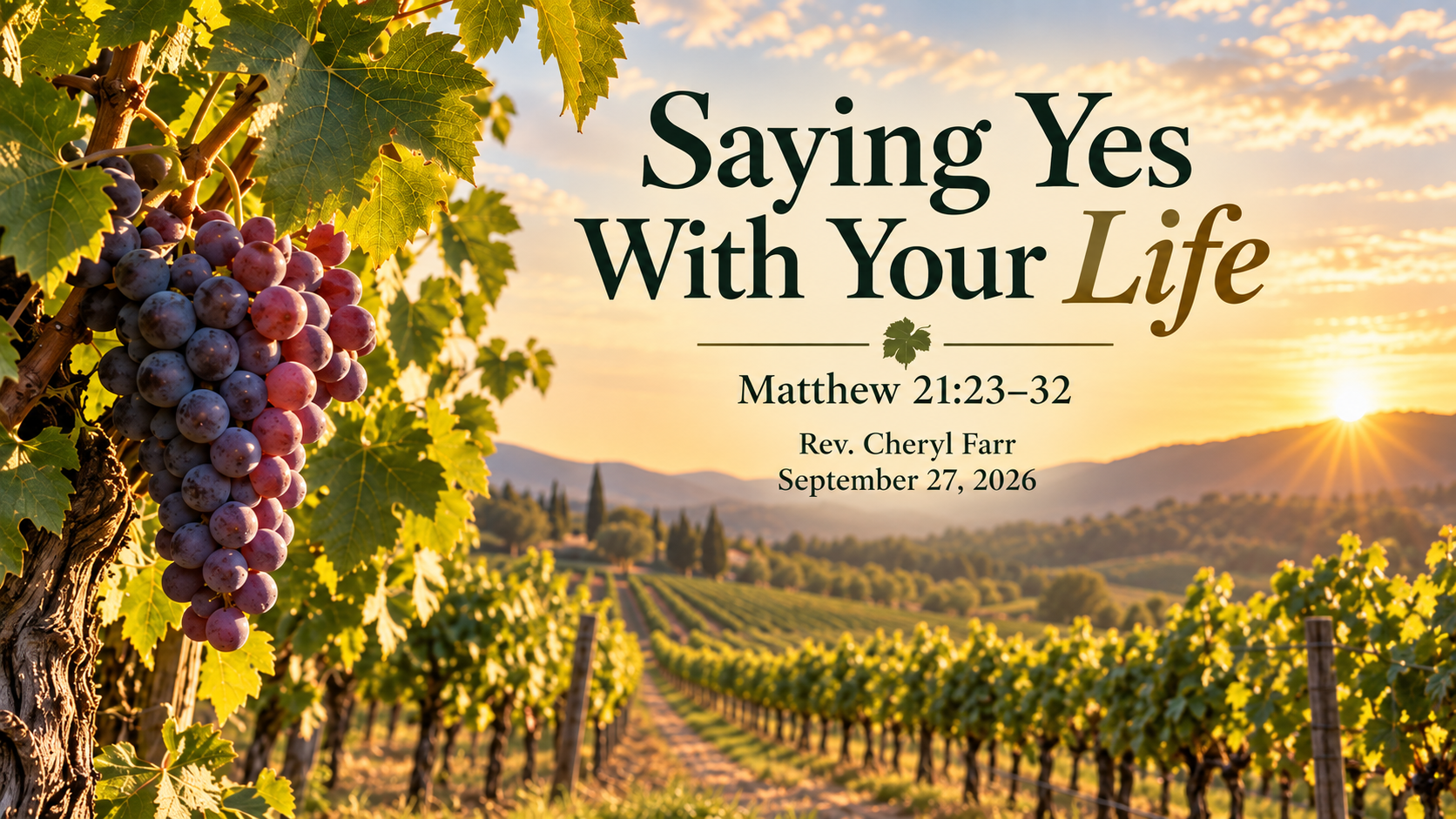 Saying Yes With Your Life sermon image featuring a sunlit vineyard with ripe grapes, representing Matthew 21:23&ndash;32 and the call to repentance, obedience, and a life turned toward God.